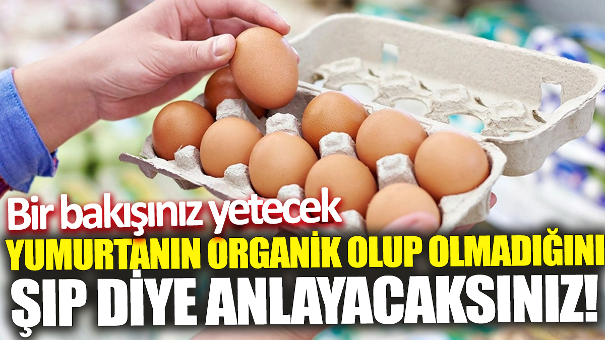 Yumurtanın organik olup olmadığını şıp diye anlayacaksınız! Bir bakışınız yetecek