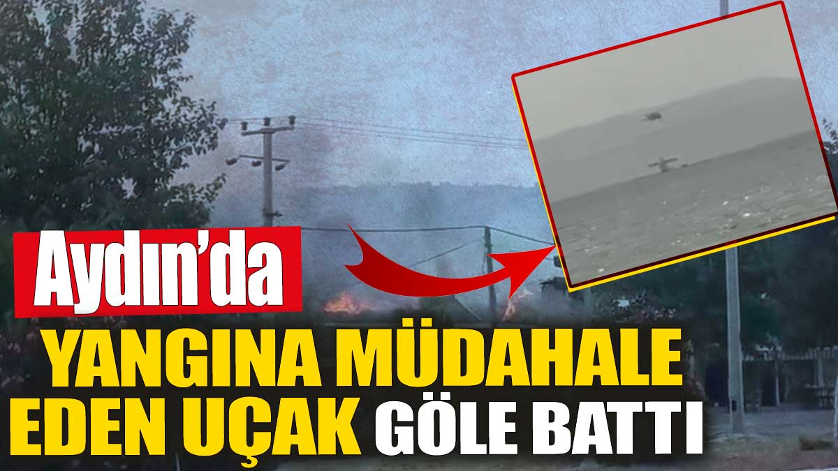 Son Dakika... Yangına müdahale eden uçak göle sert indi batmaya başladı