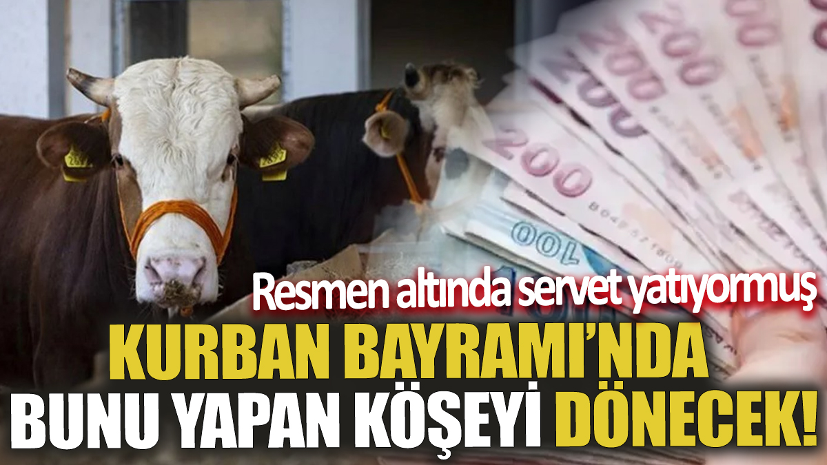 Kurban Bayramı’nda bunu yapan köşeyi dönecek! Resmen altında servet yatıyormuş