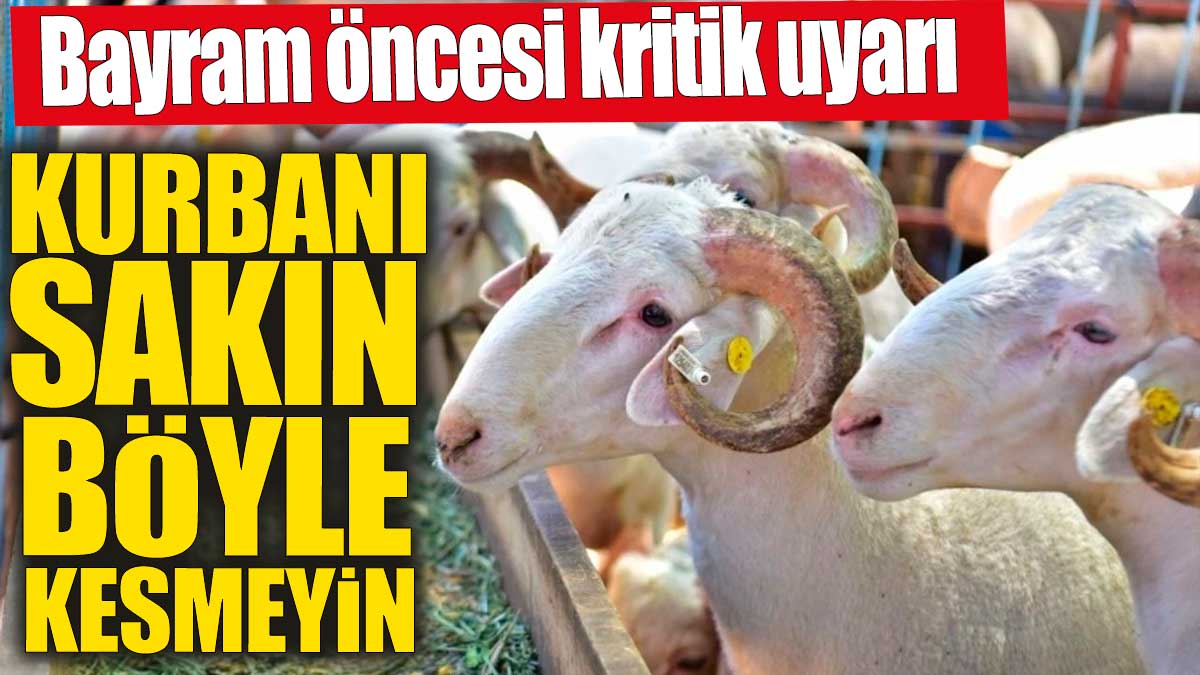 Kurbanı sakın böyle kesmeyin! Bayram öncesi kritik uyarı