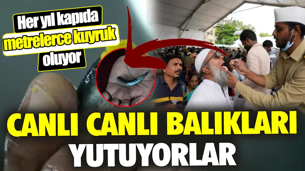 Canlı canlı balıkları yutuyorlar ‘Her yıl kapıda metrelerce kuyruk oluyor’