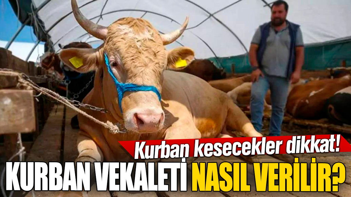 Kurban vekaleti nasıl verilir? Ne zaman verilir?