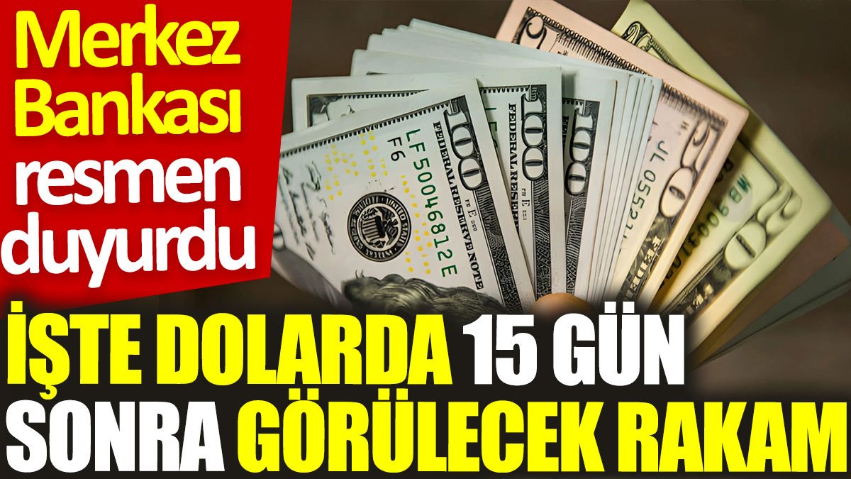 Merkez Bankası resmen duyurdu: İşte dolarda 15 gün sonra görülecek rakam