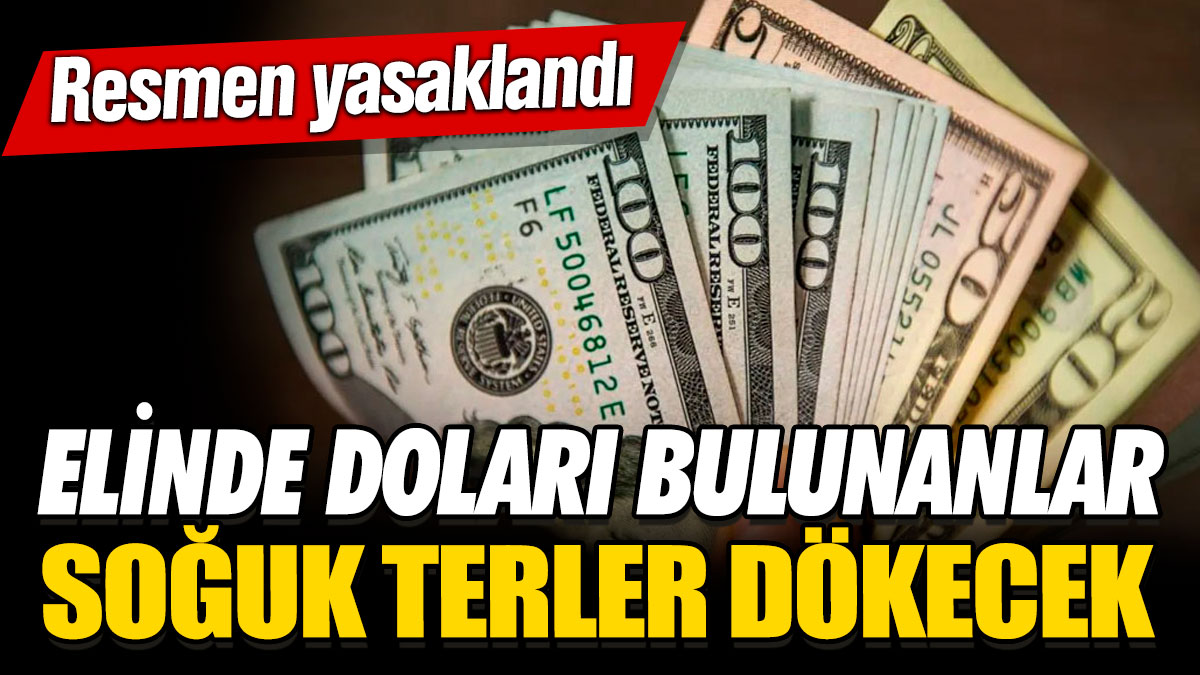 Elinde doları bulunanlar soğuk terler dökecek! Resmen yasaklandı