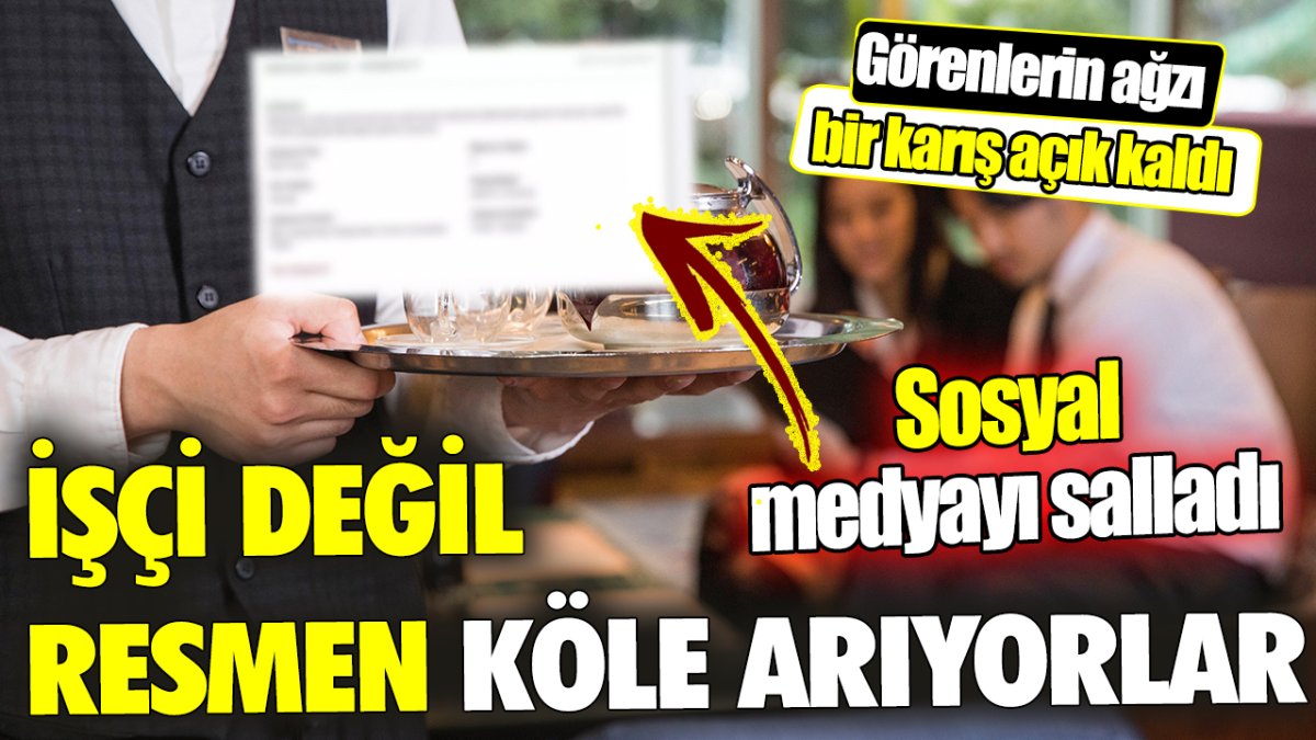 İşçi değil resmen köle arıyorlar! Görenlerin ağzı bir karış açık kaldı ‘Sosyal medyayı salladı’