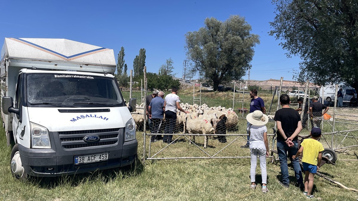 Kurbanlık satışından elde ettiği 535 bin lirası tuzla buz oldu