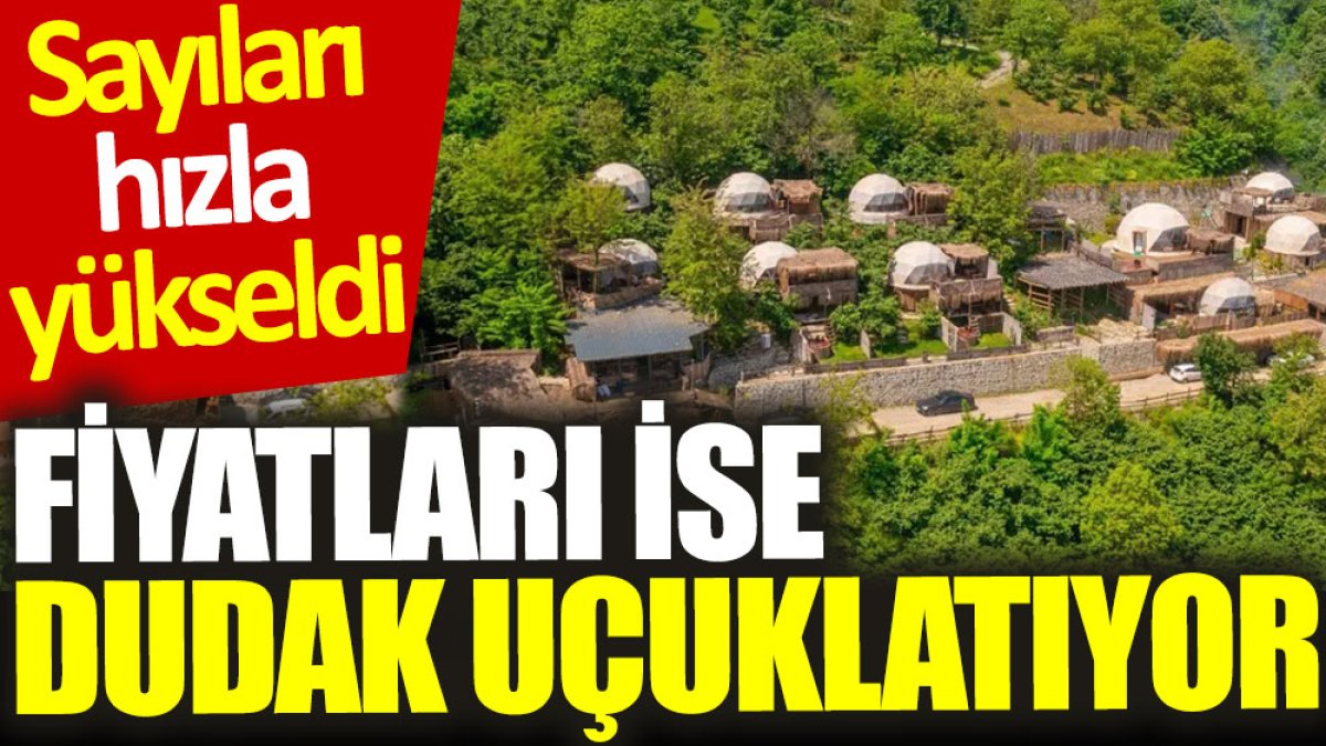 Sayıları hızla yükseldi, fiyatları ise dudak uçuklatıyor