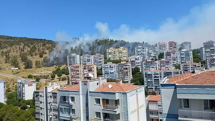 İzmir'de orman yangını