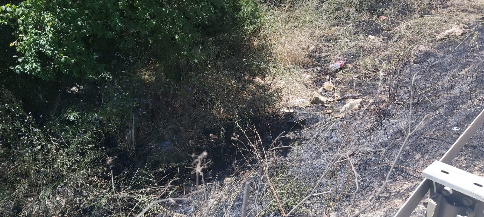 Akli dengesi bozuk şahıs çalıları ateşe verdi