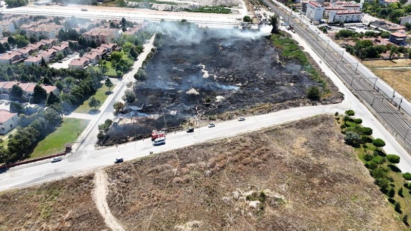 40 dönümlük köpek besleme alanı küle döndü