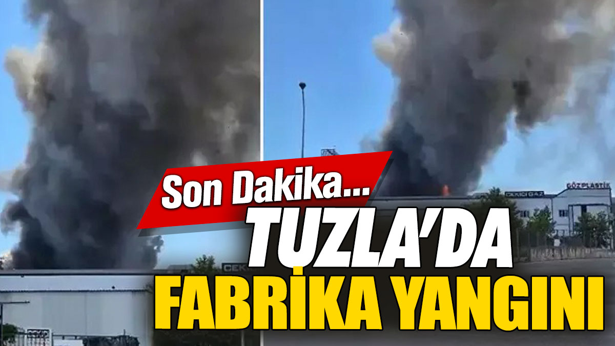 Flaş Flaş... Son Dakika... Tuzla'da fabrika yangını