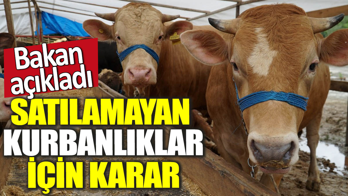 Satılamayan kurbanlıklar için karar! Bakan açıkladı