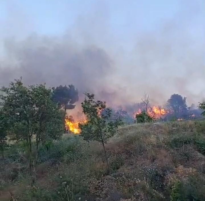 Denizli'de orman yangını büyümeden söndürüldü