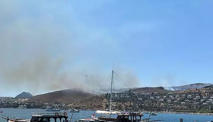 Bodrum'da ot yangını panik yarattı