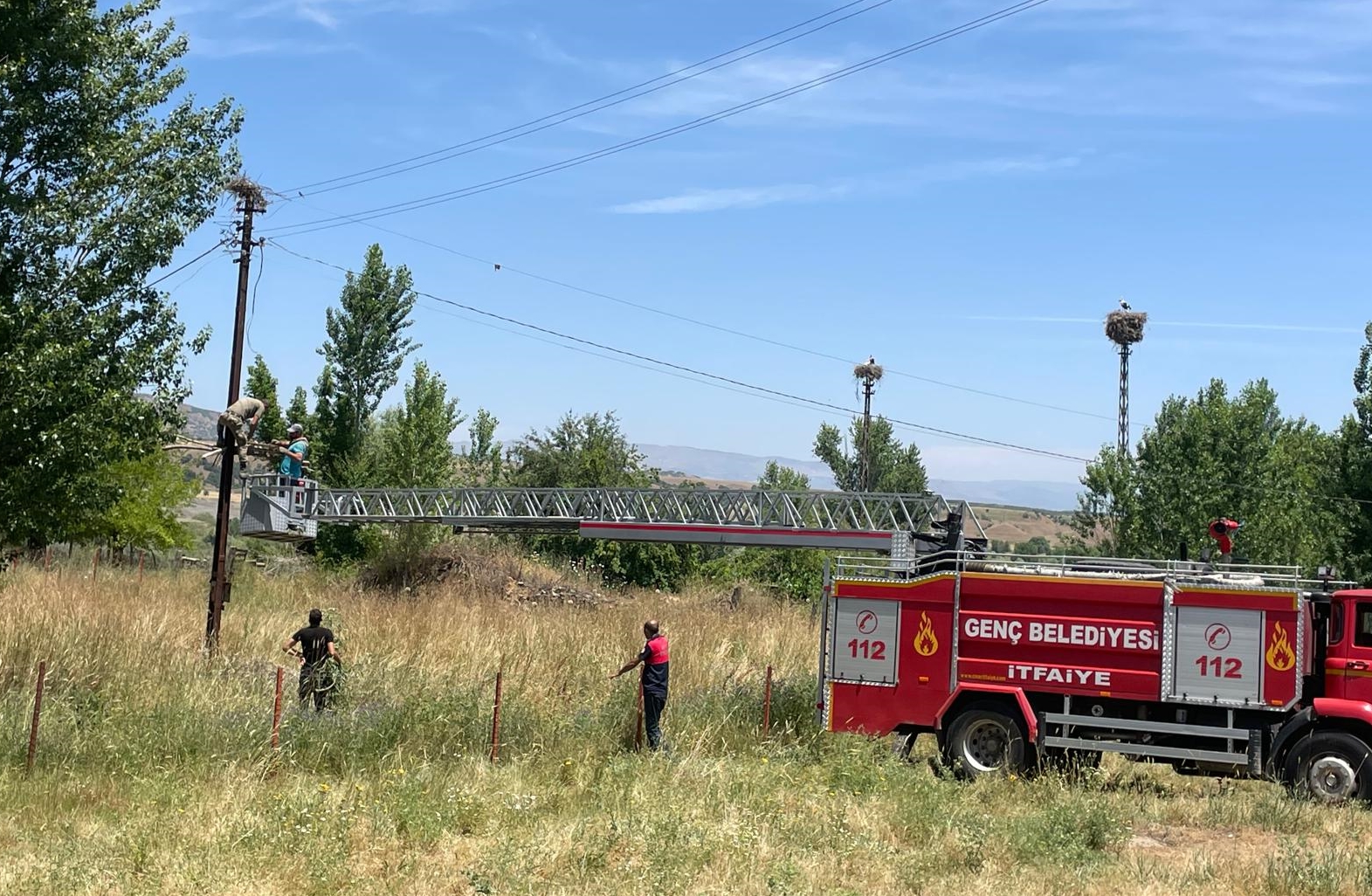 Bingöl'de yıkılan leylek yuvası onarıldı