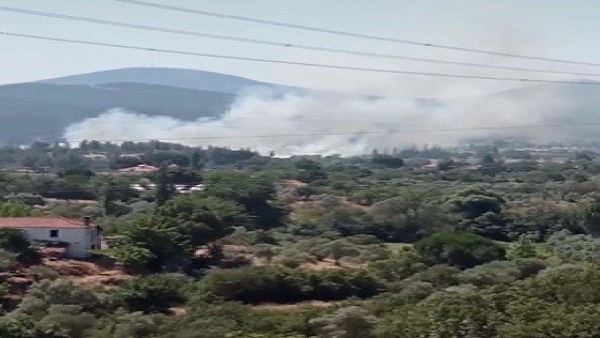 Muğla'da yangın 'Ekipler müdahale etti'