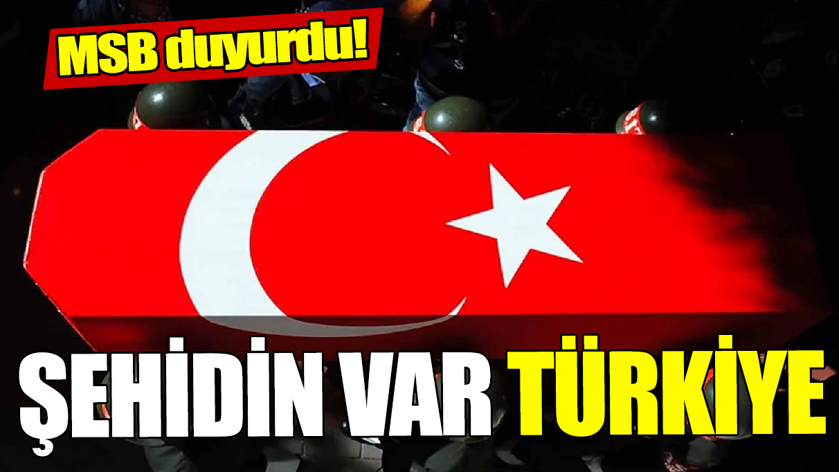 Son dakika... MSB duyurdu! Şehidin var Türkiye