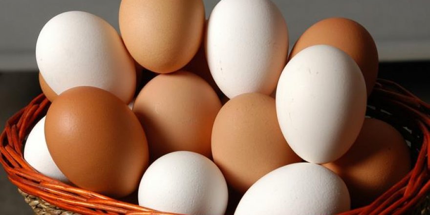 Yumurta üreticilerinden şok iddia!