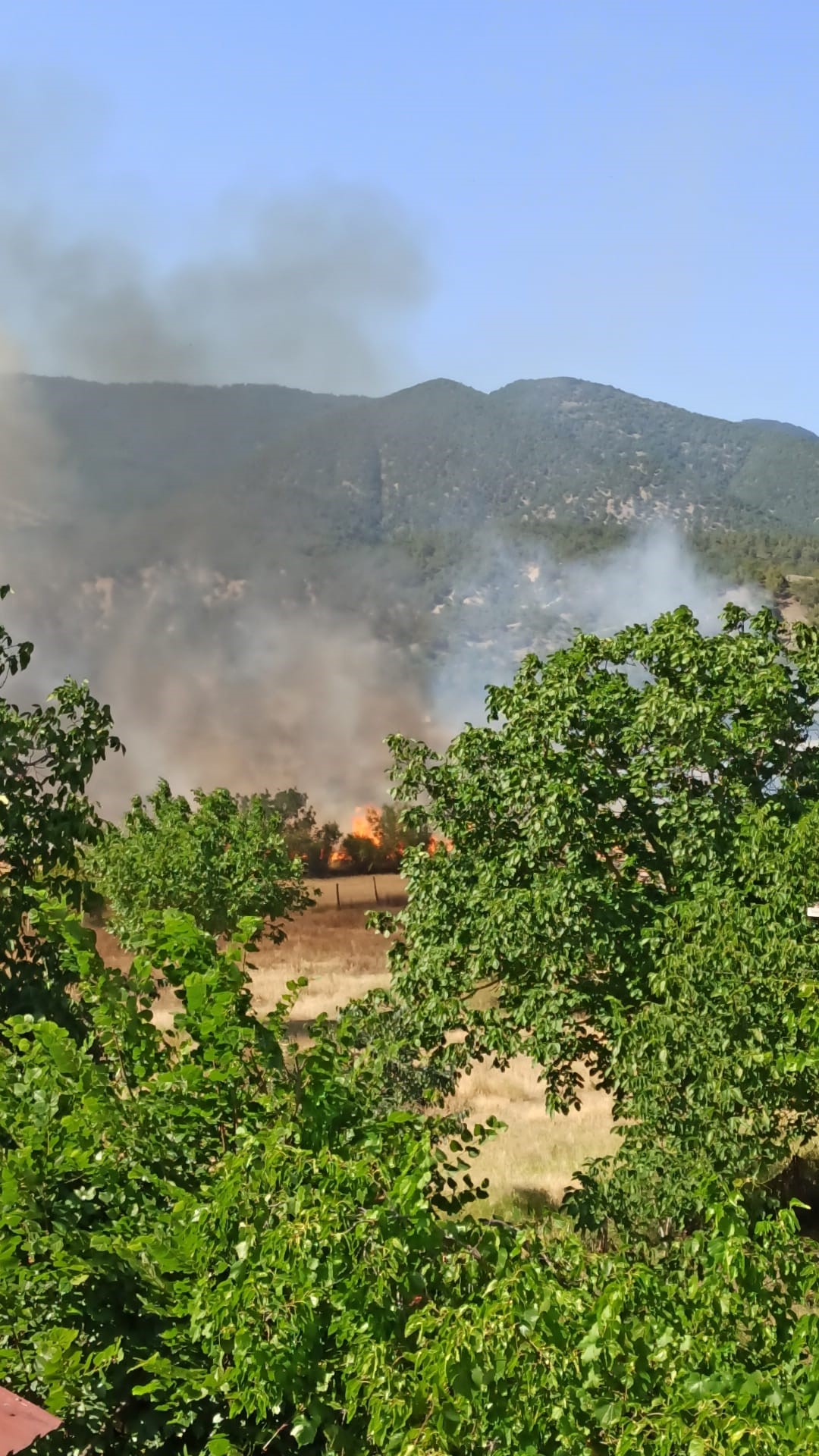 Sinop’ta tarım arazisinde yangın