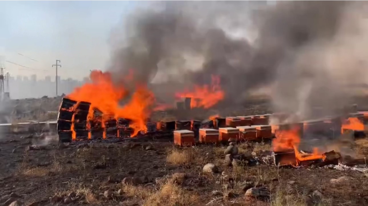 Şanlıurfa’da yangın:  Yüzlerce arı kovanı kül oldu