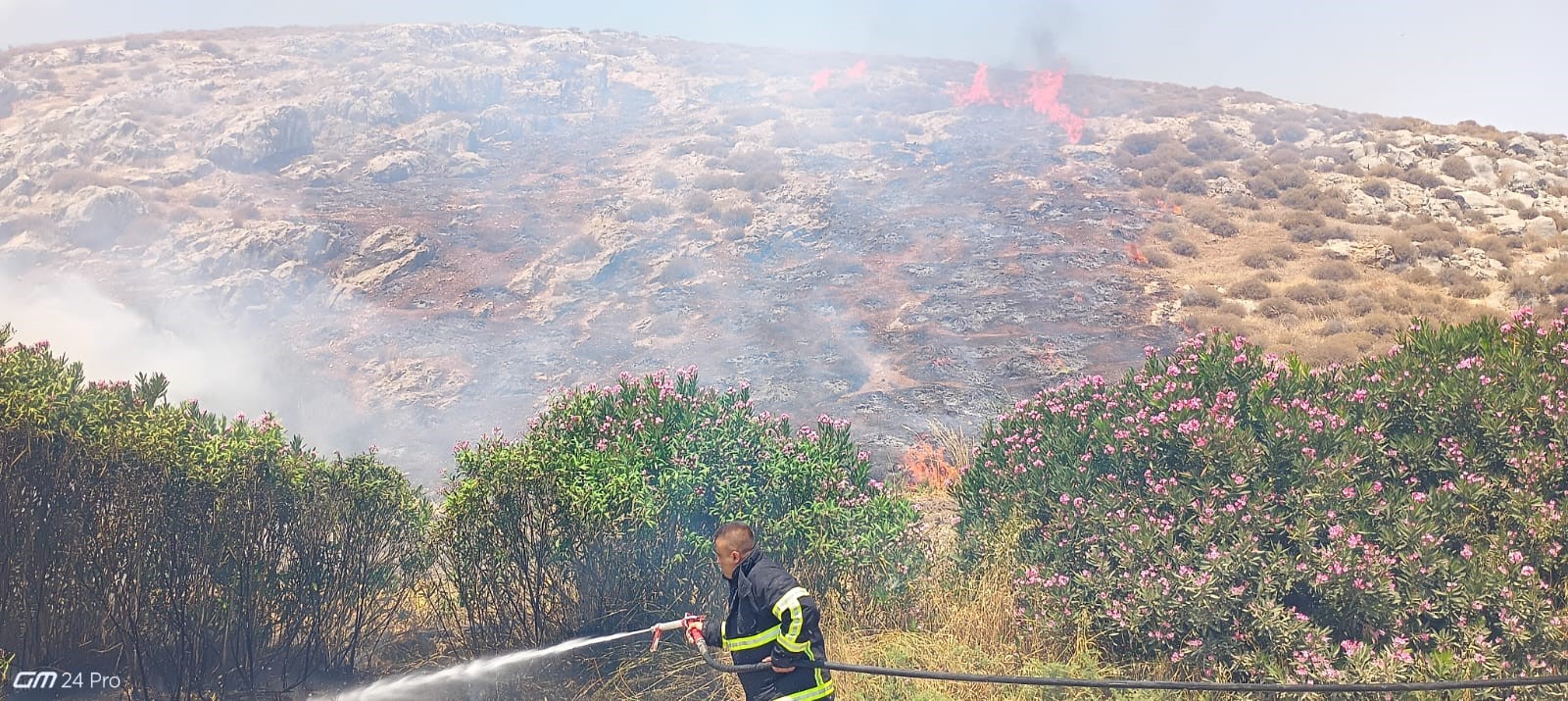 Hatay'da bahçe yangını