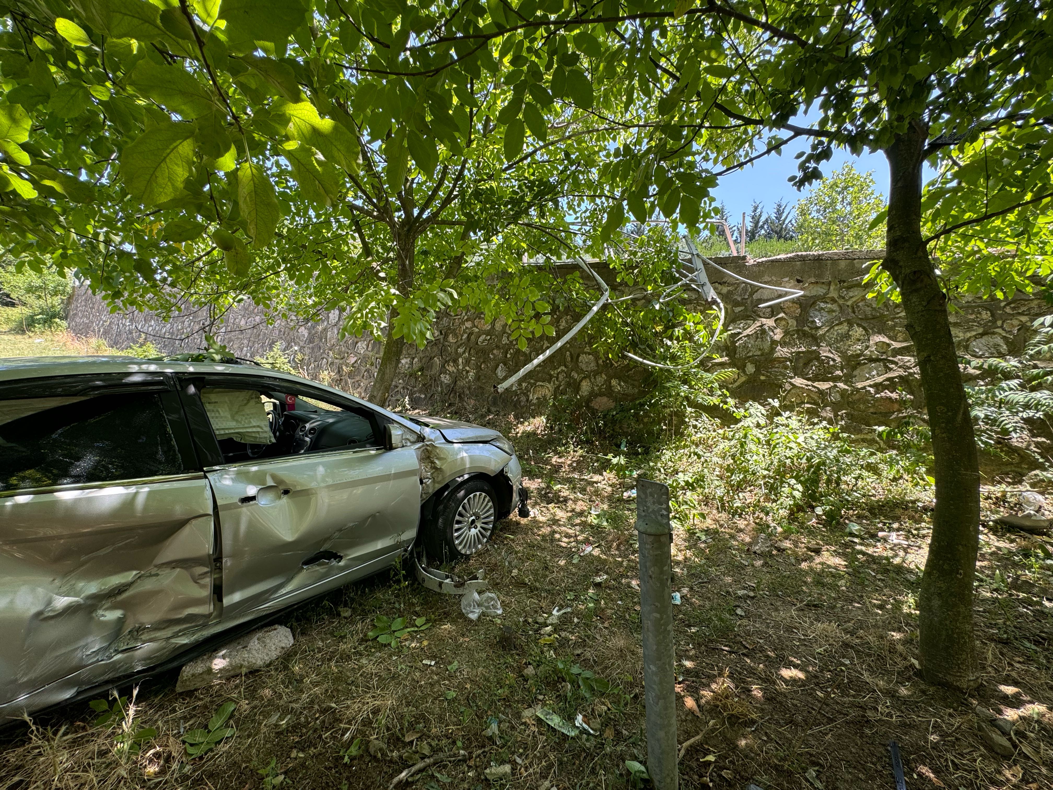 Kocaeli'de otomobil meyve bahçesine düştü
