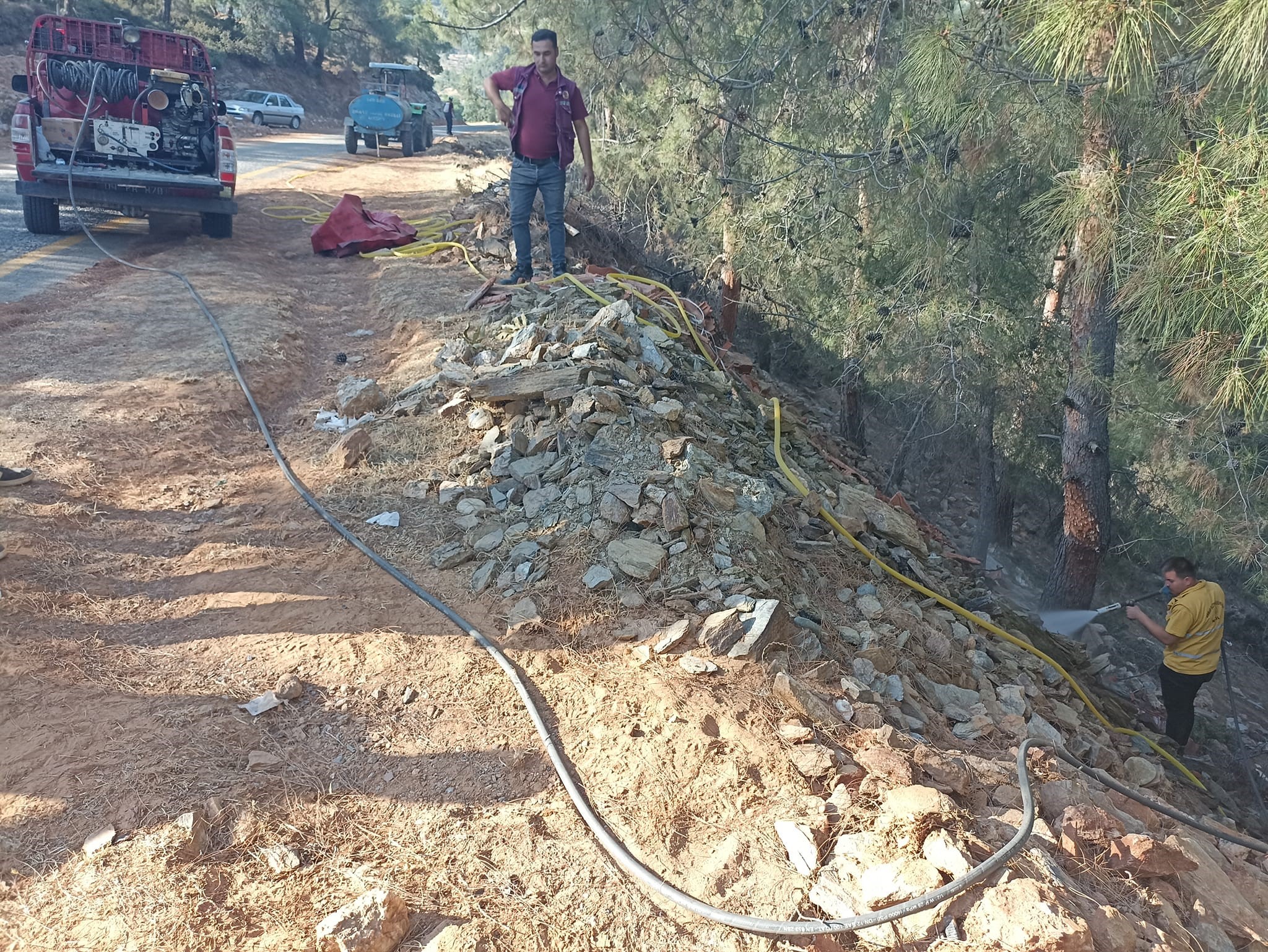 Aydın'da orman yangını başarıyla söndürüldü