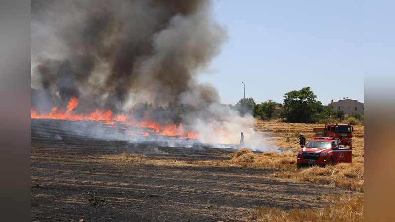 Edirne'de anız yangını