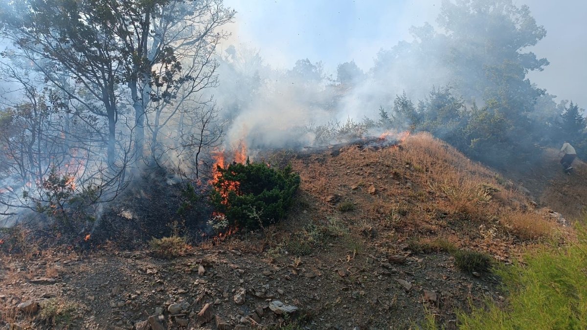 Ormanlık alanda çıkan yangını itfaiye ekipleri kontrol altına aldı