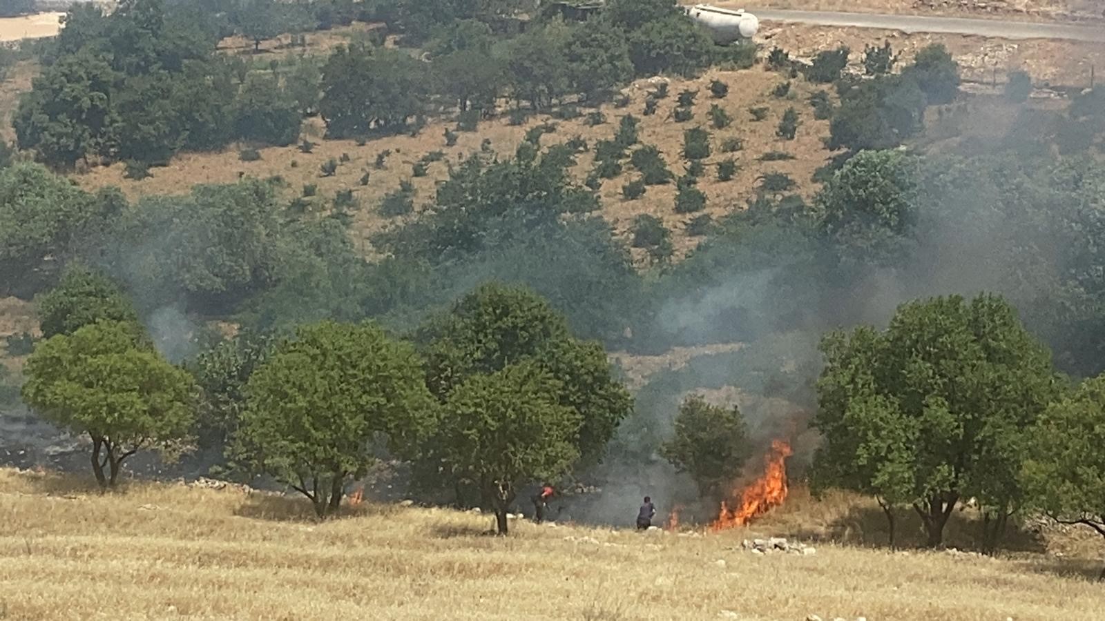 Mardin’deki orman yangını söndürüldü