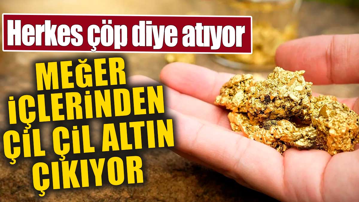 Herkes çöp diye atıyor. Meğer içlerinden çil çil altın çıkıyor