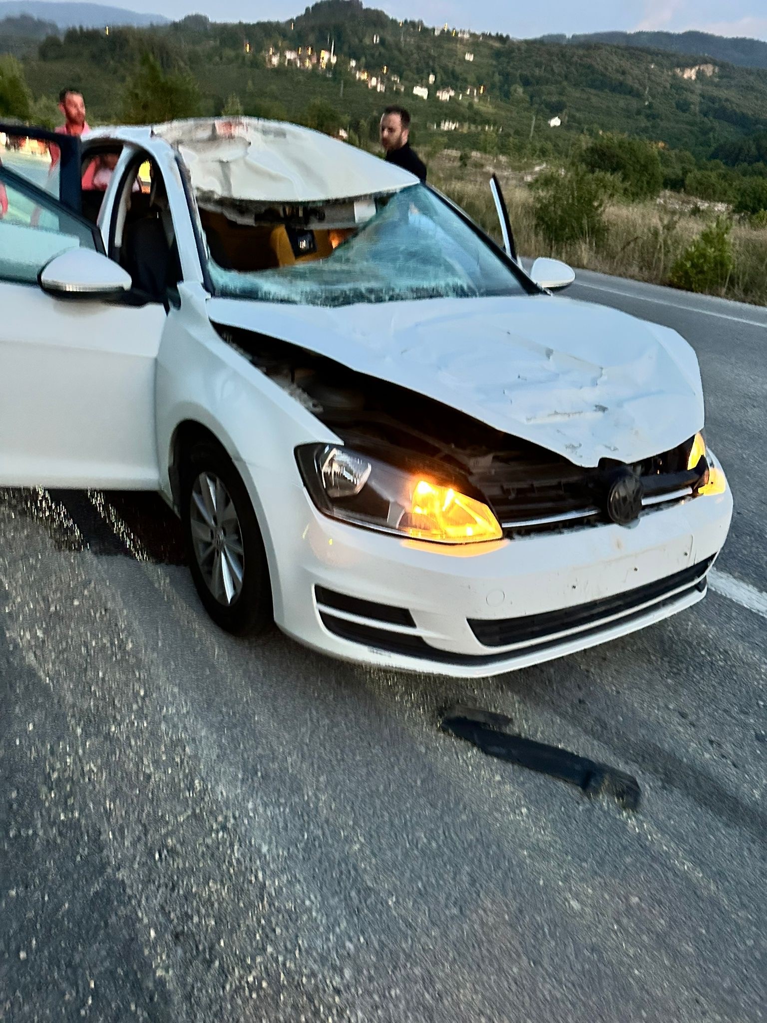 Sakarya’da otomobil geyiğe çarptı: 1 yaralı