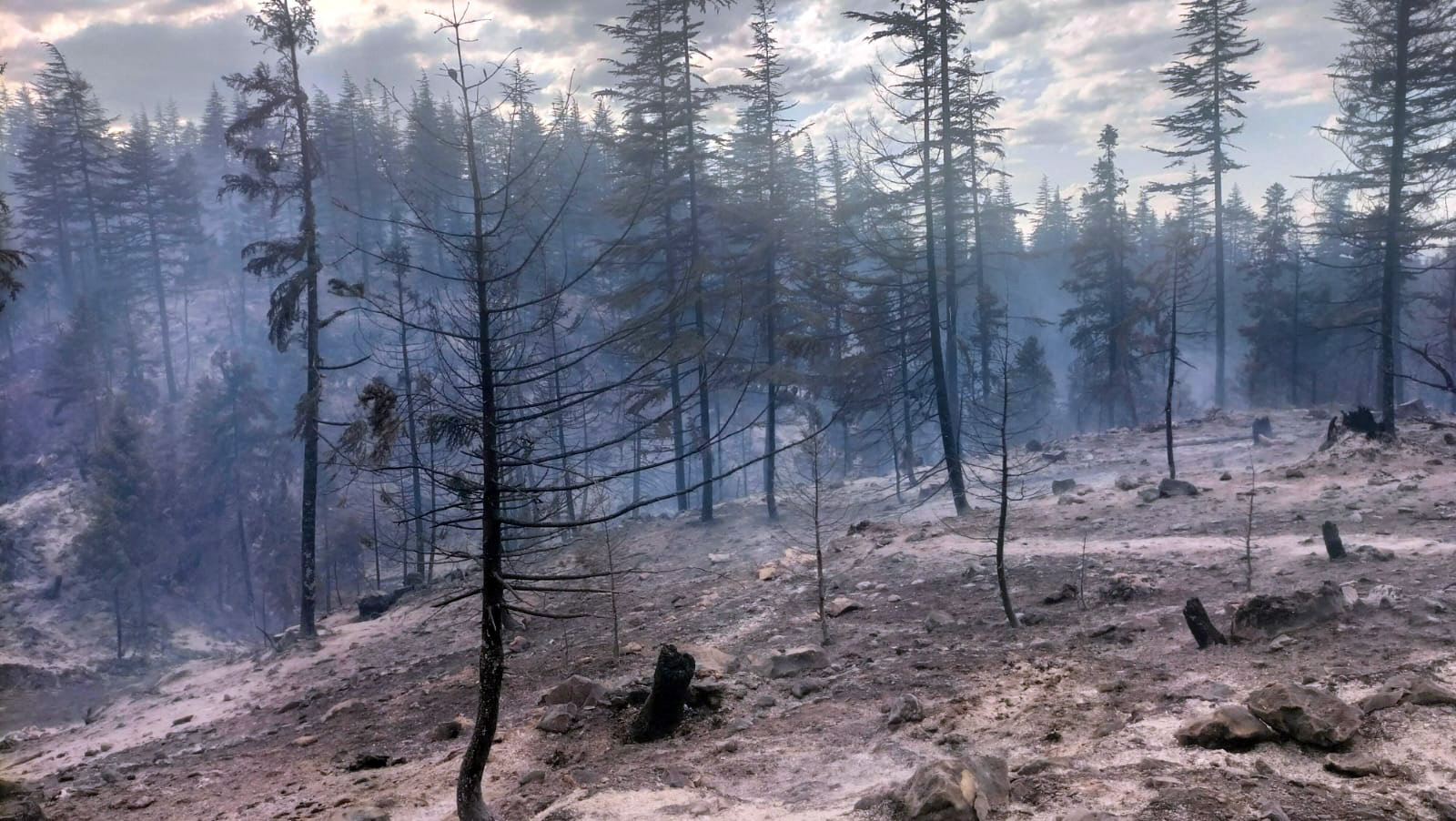 Karaman'da orman yangını kontrol altına alındı
