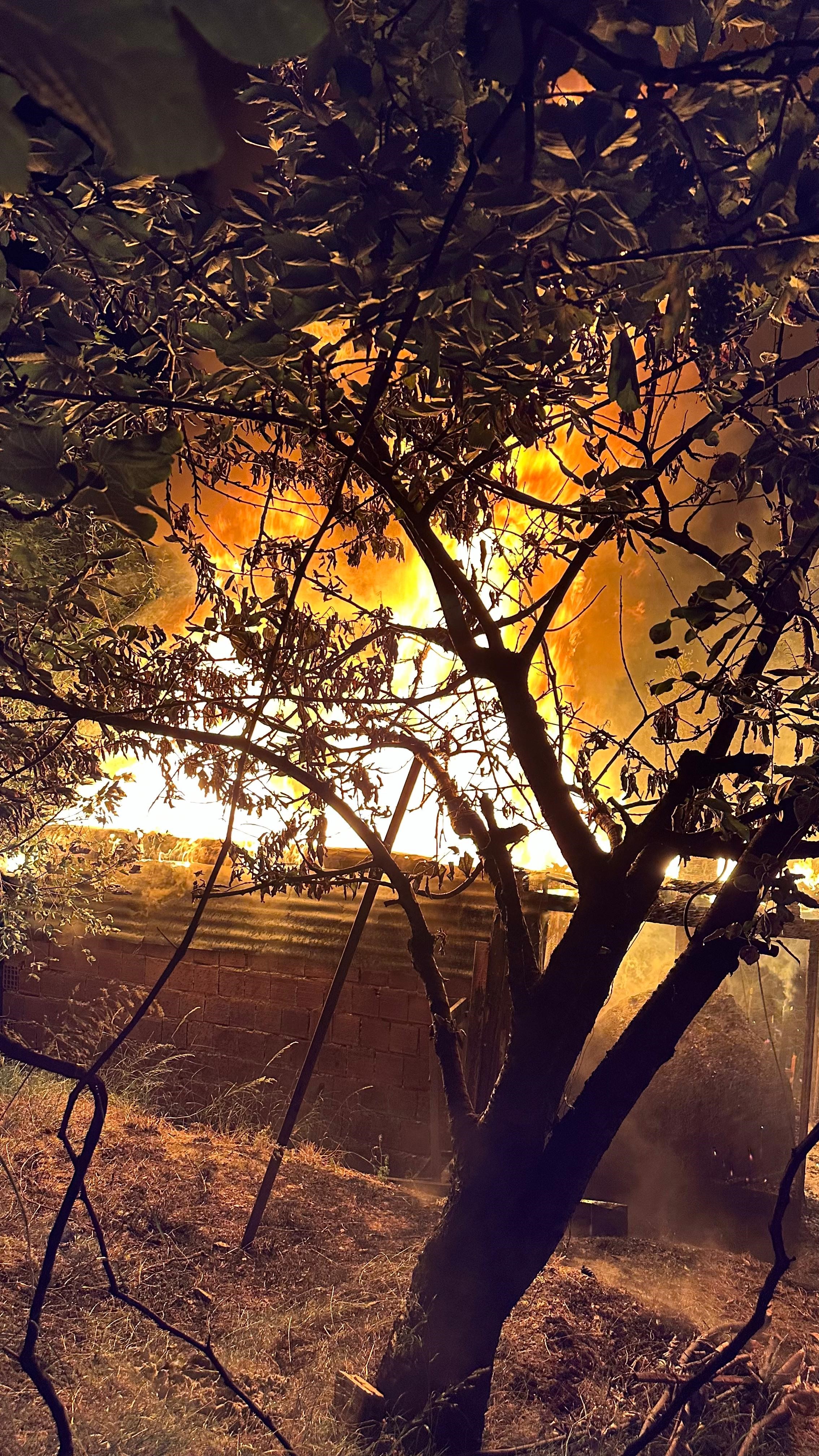 Zonguldak’ta kümes yangını