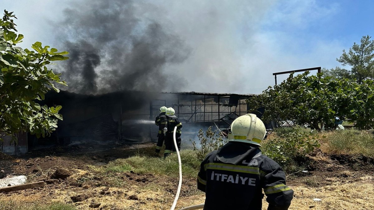 Muğla'da çıkan yangın bir ahırı kül etti