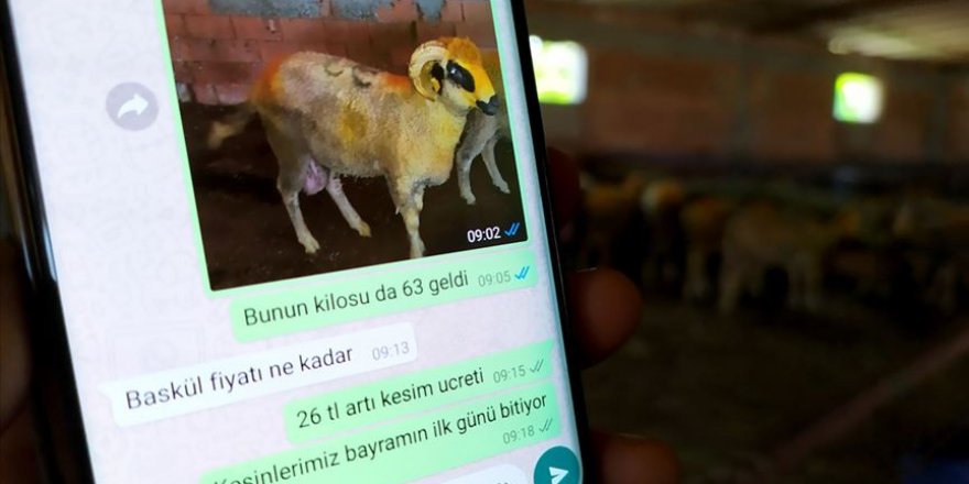 Cep telefonuyla 'mobil' kurbanlık satışı