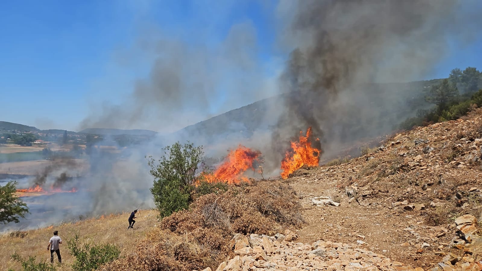 Muğla’da çıkan yangın ucuz atlatıldı