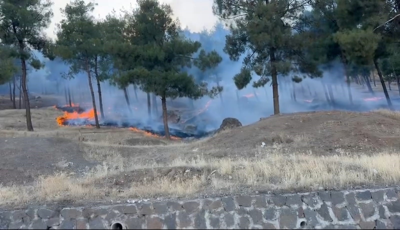 Gaziantep'te yangın! Ekipler harekete geçti