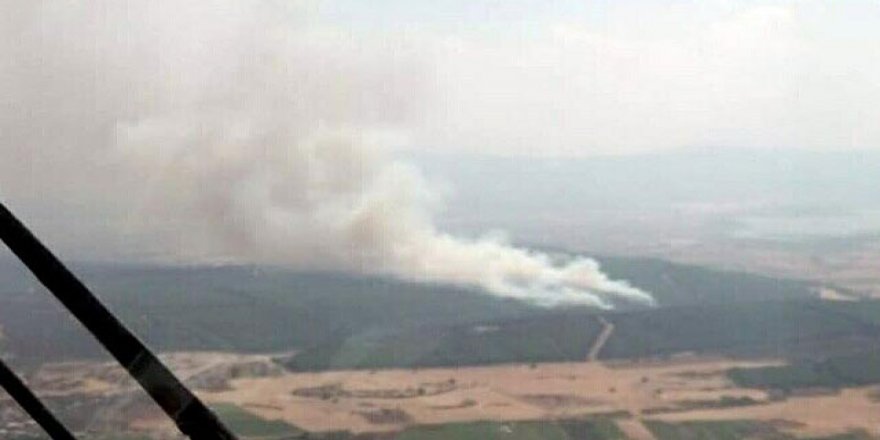 İzmir'de orman yangını