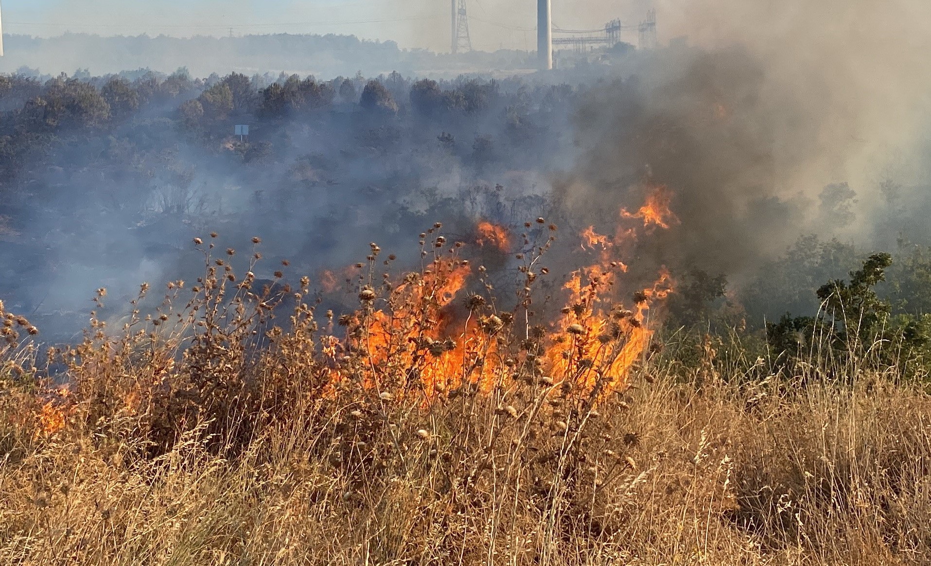 Samsun'da ziraat odasından çiftçilere 'anız yangını' uyarısı
