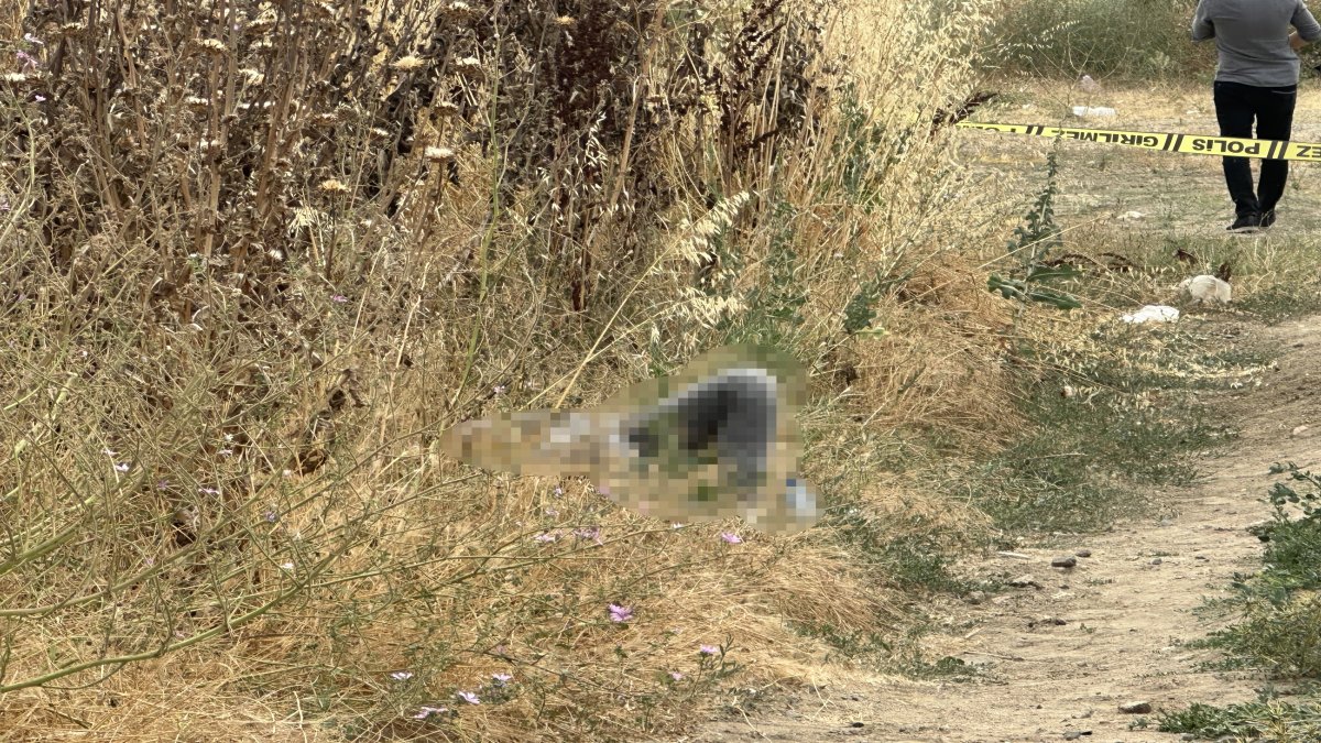 Tekirdağ'da bir kişinin cansız bedeni bulundu