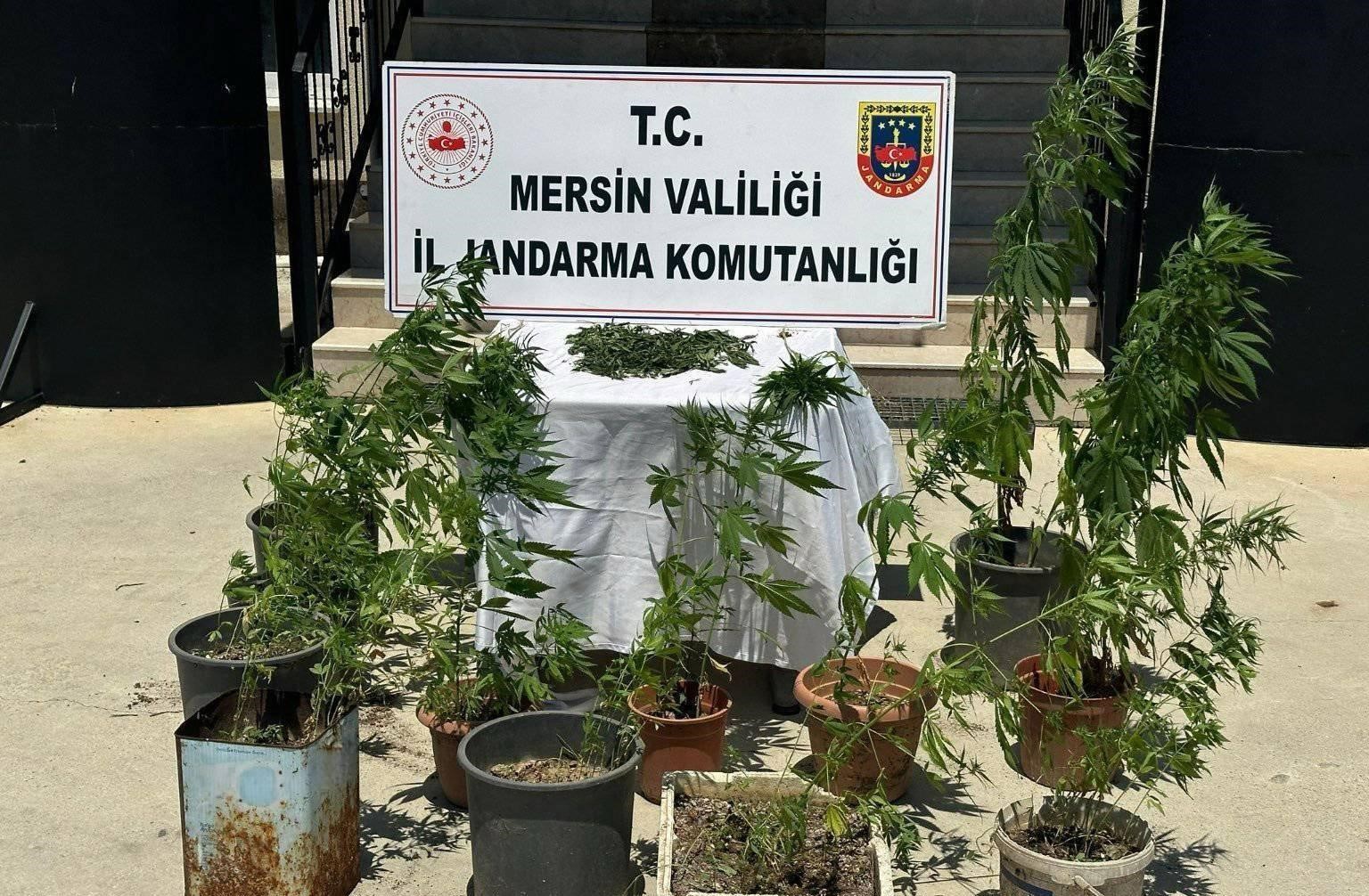 Mersin'de uyuşturucu operasyonu