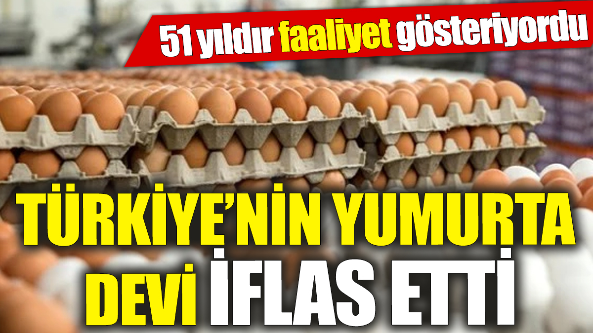 Türkiye’nin ünlü yumurta devi iflas etti! 51 yıldır faaliyet gösteriyordu