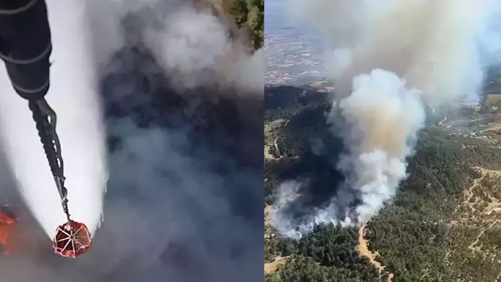 İzmir'de orman yangını