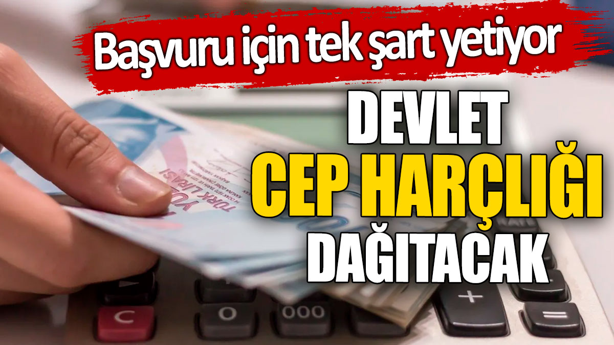 Devlet cep harçlığı dağıtacak! Başvuru için tek şart yetiyor