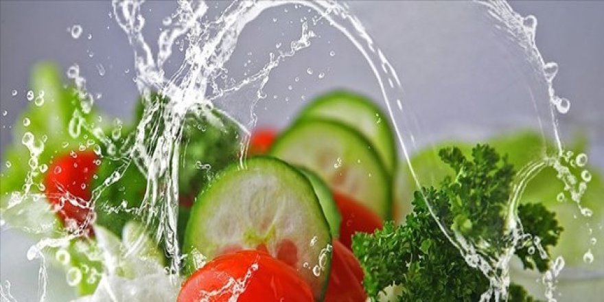 Bitki odaklı beslenme küresel ısınmada kilit rol oynuyor