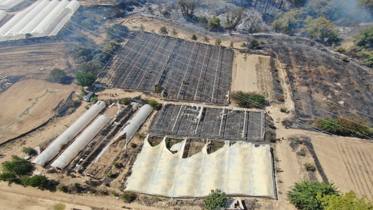 Antalya alevlere teslim oldu