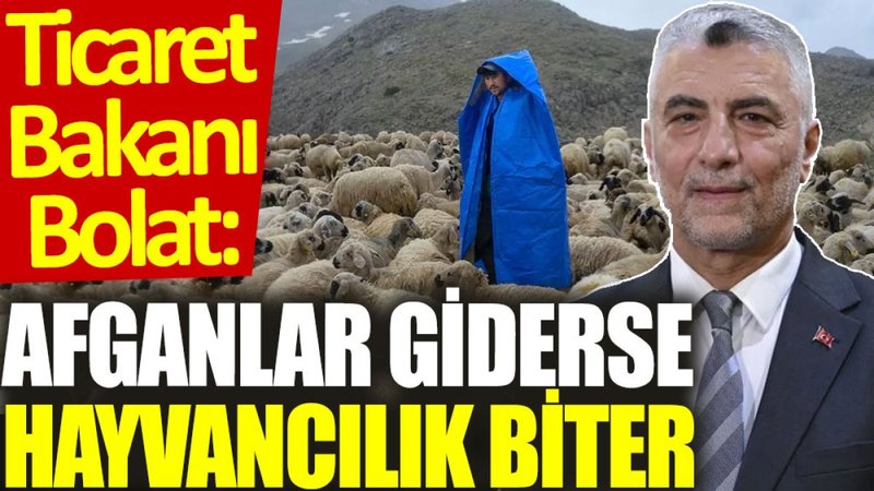 Ticaret Bakanı Ömer Bolat: Afganlar giderse hayvancılık biter