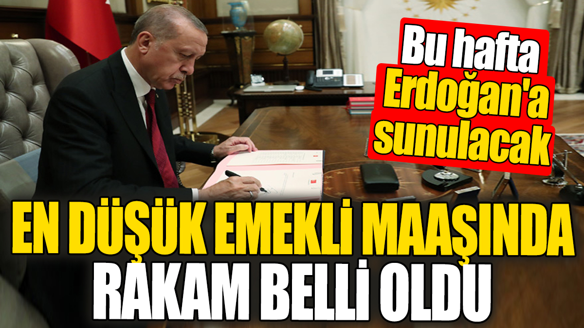 En düşük emekli maaşında net rakam belli oldu! Bu hafta Erdoğan'a sunulacak