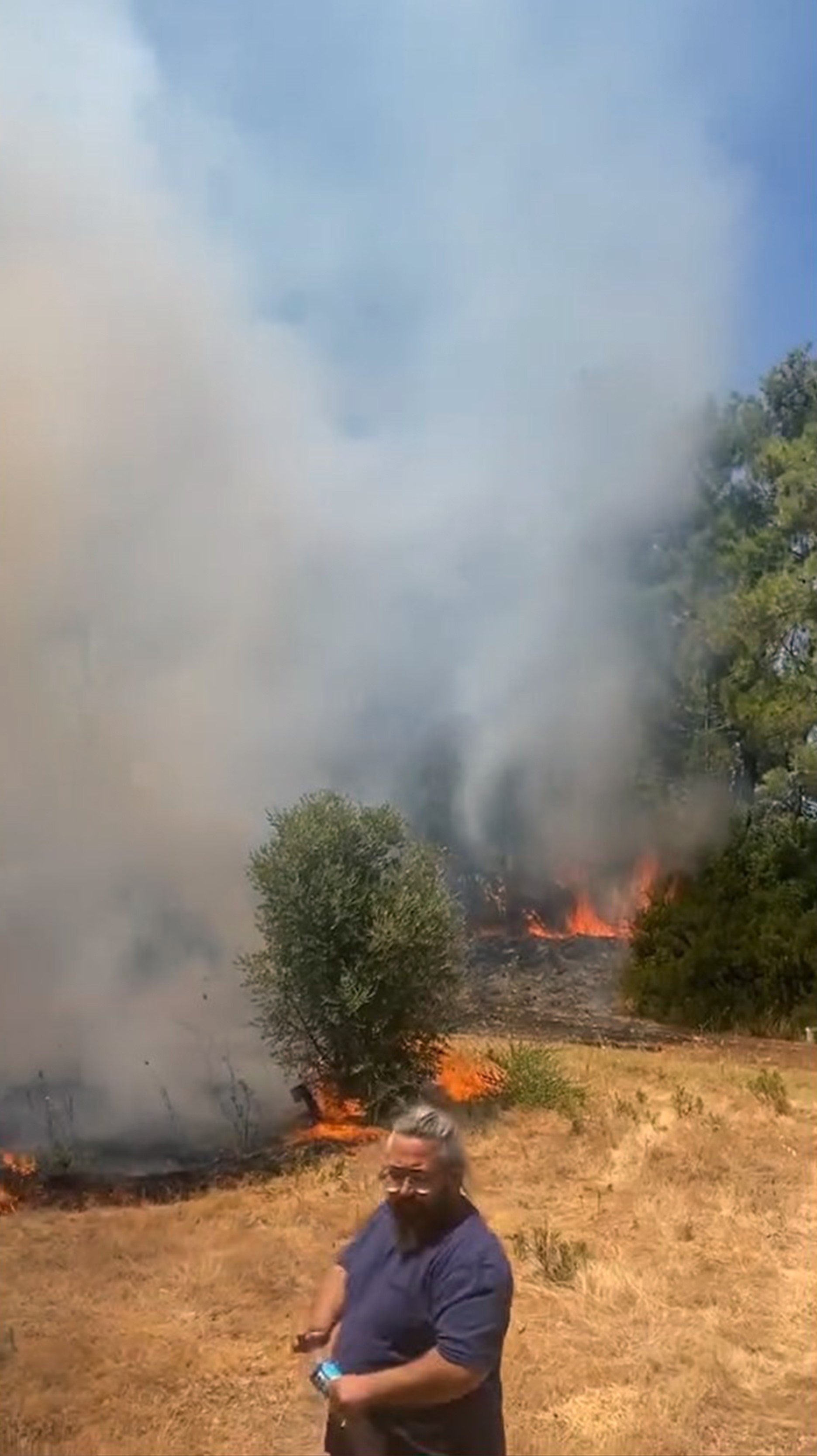 Muğla'da orman yangını